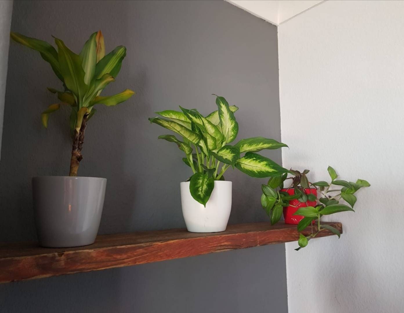 Alcove Shelf Brackets – Raw Steel Recessed Shelving Supports – Heavy Duty Hidden Shelf Brackets – UK Made – Free UK Delivery