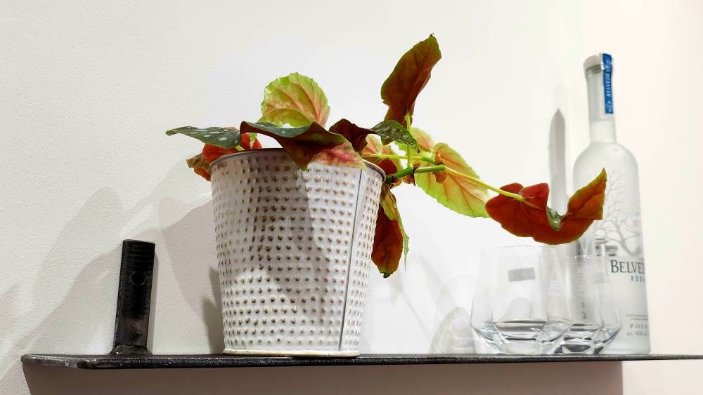 Minimalist Metal Shelf – Floating Wall Shelf – Industrial Steel Display Shelf – UK Made – Free UK Delivery