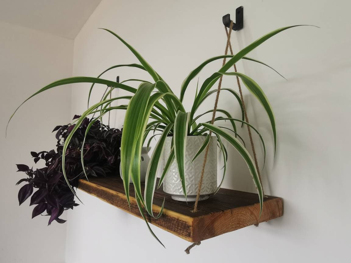 Rope Hanging Shelf | Industrial Wall Shelf | Rustic Wood & Rope Shelf | UK Made Storage